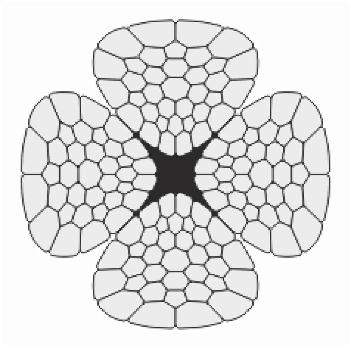 python-acelsodronykotel-4-Runner.webp