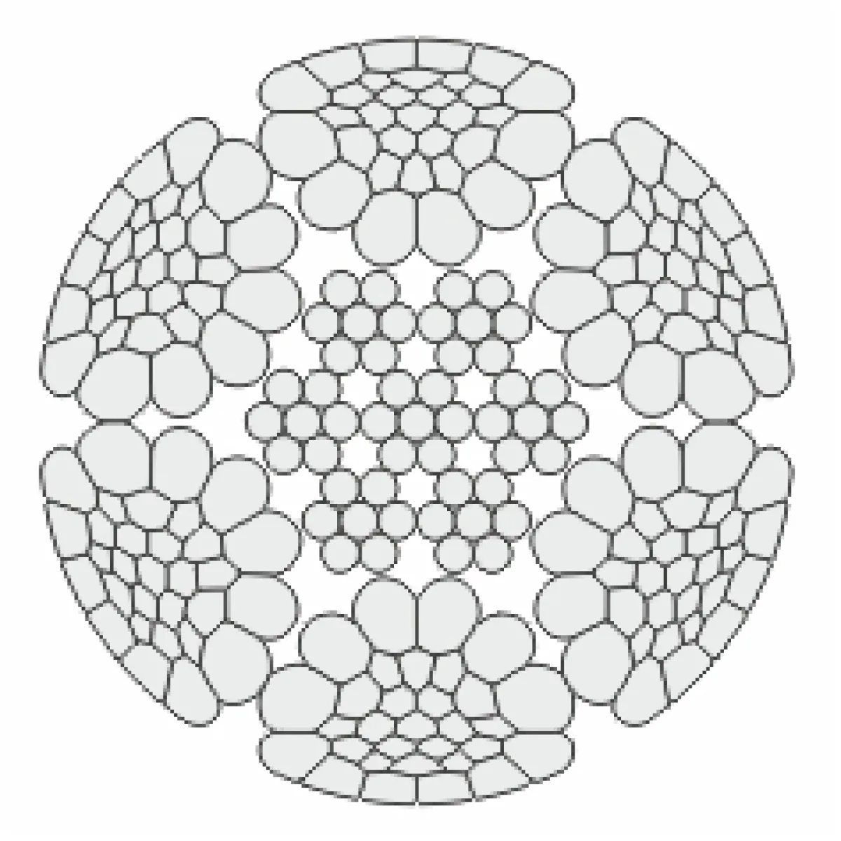 python-acelsodronykotel-Construct-6.webp