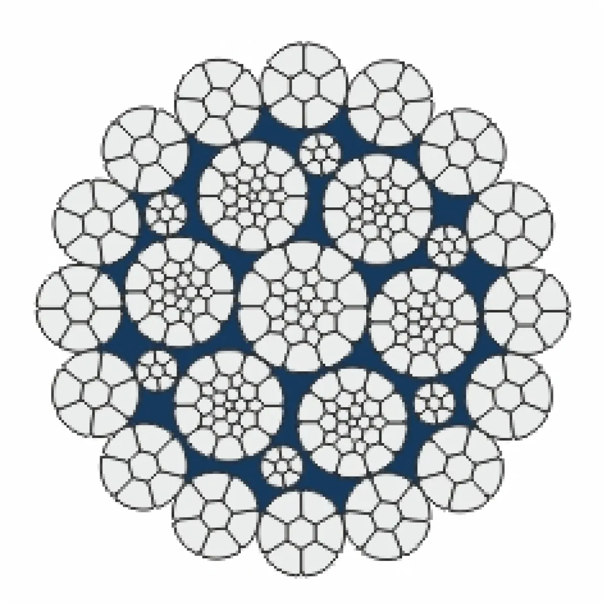 python-acelsodronykotel-Dynamic.webp