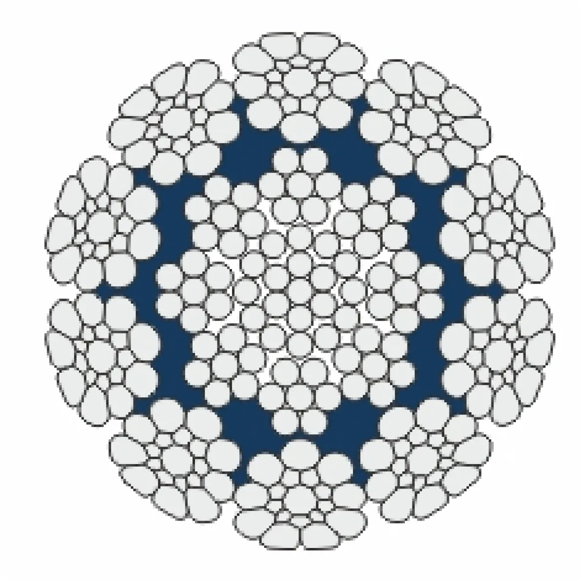 python-acelsodronykotel-Multi.webp